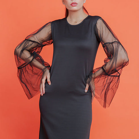 Sheer Sleeve Dress